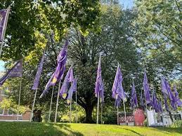purple flags